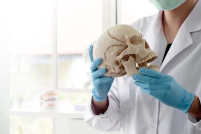 dental professional holding a skull 